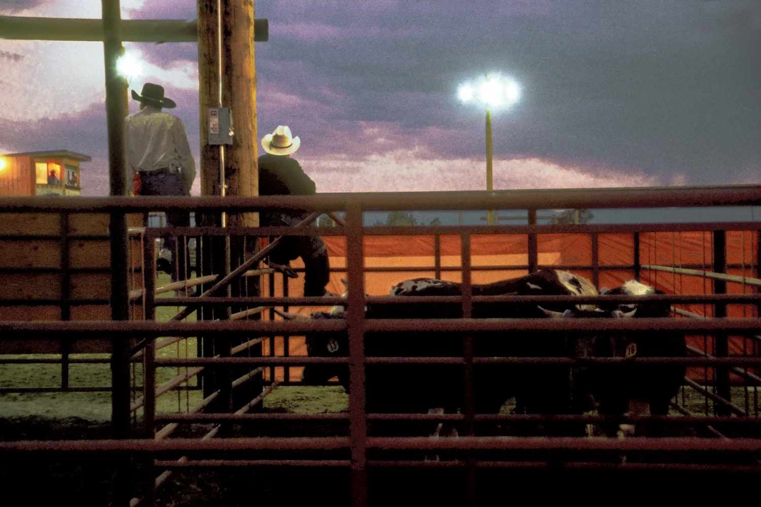 Night Rodeo