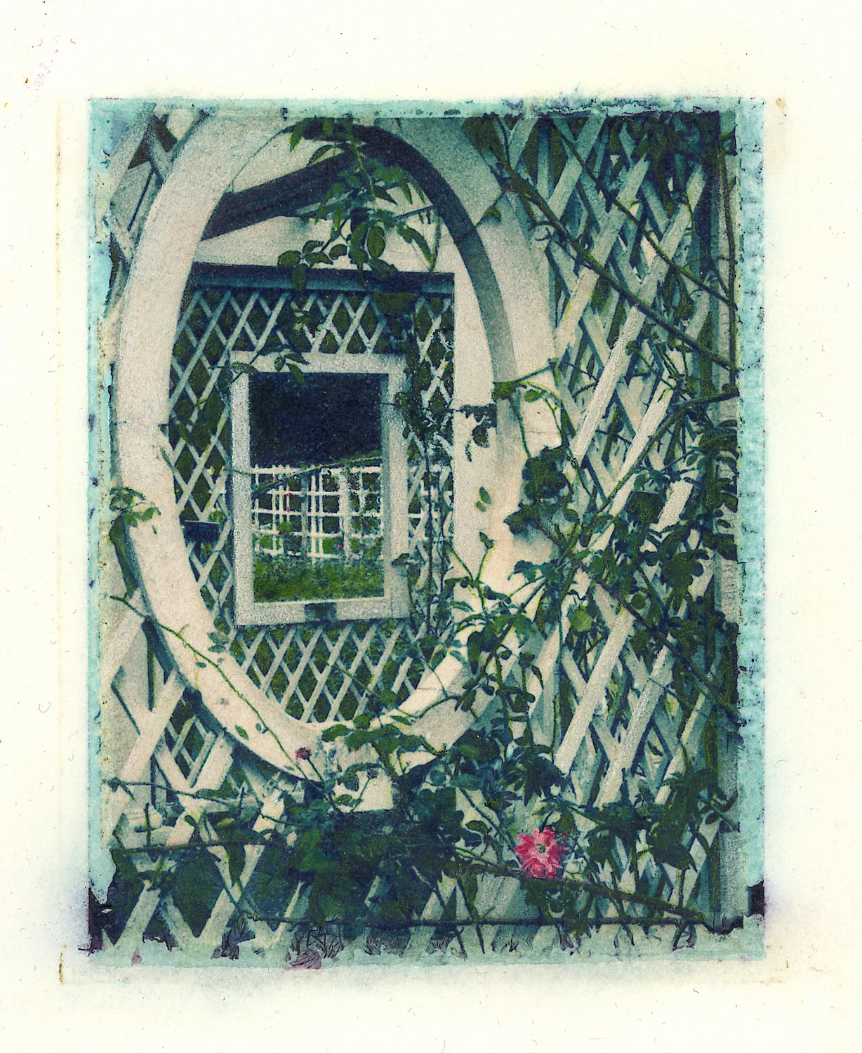 Brooklyn Trellis