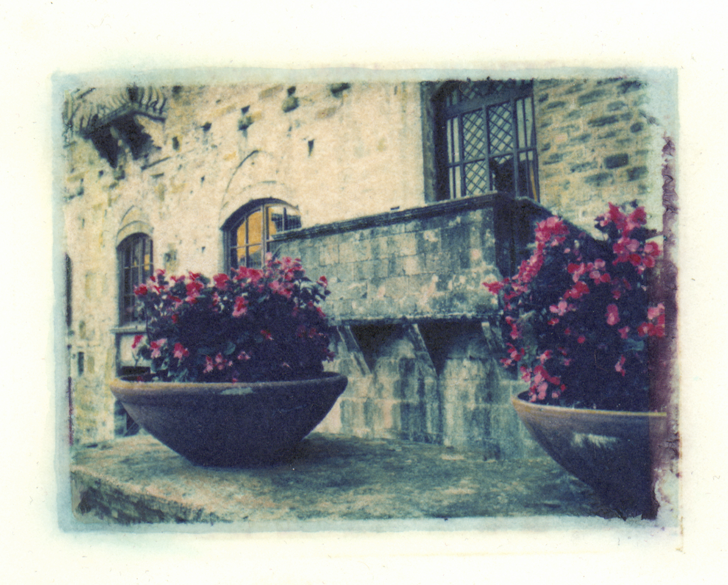 Flower Pots, Tuscany