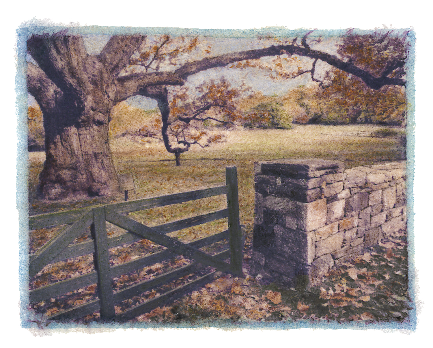 Bedford Oak Gate