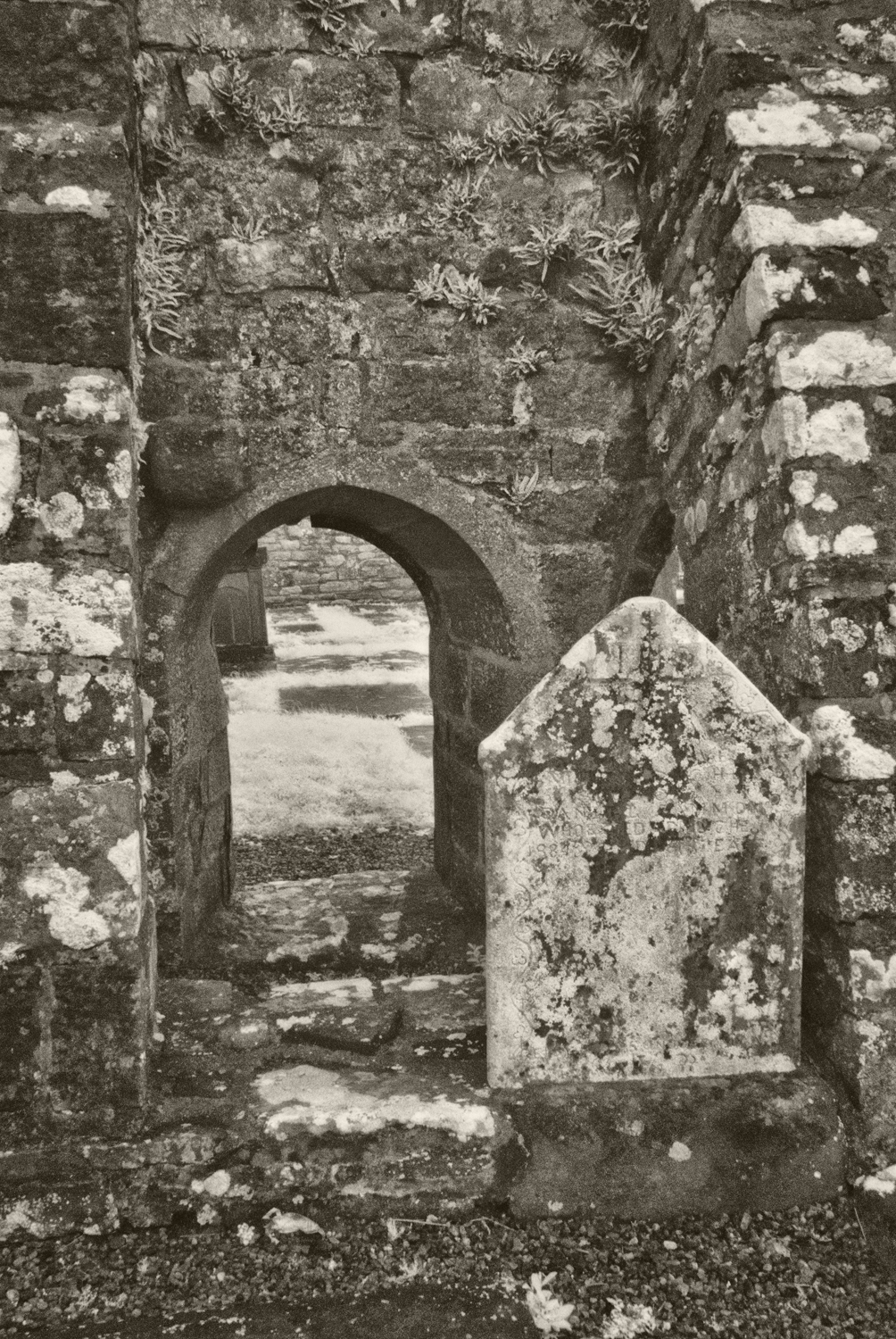 Arch, Burrishoole Abbey
