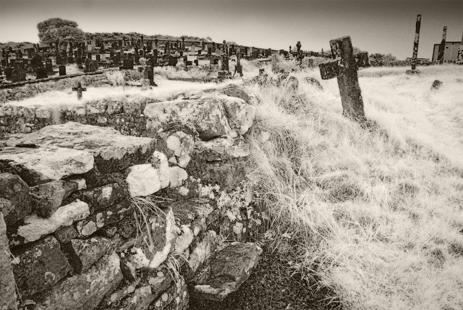 Graveyard, Burrishoole Abbey