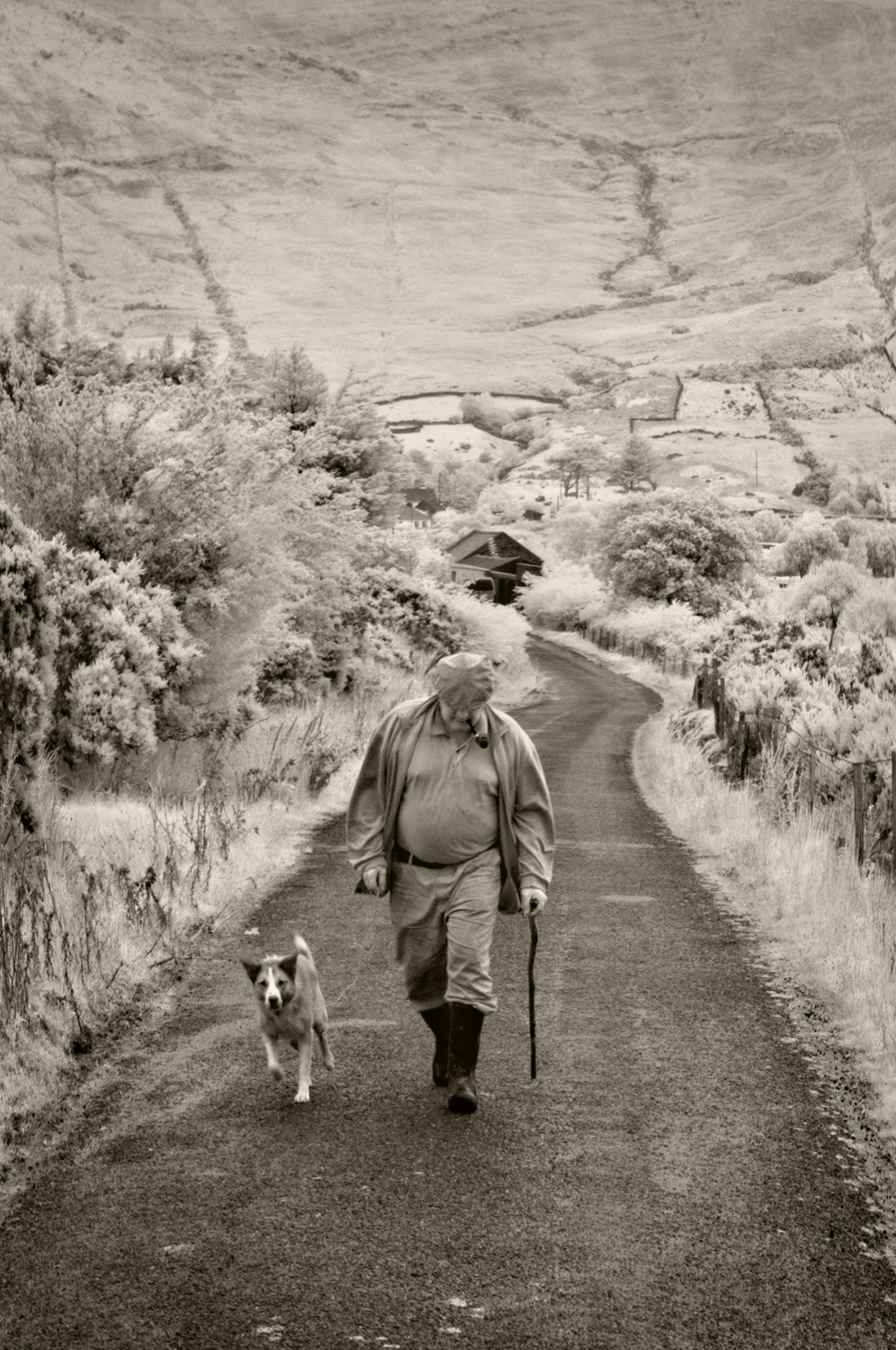 Man and Dog, Lough Na Fooey