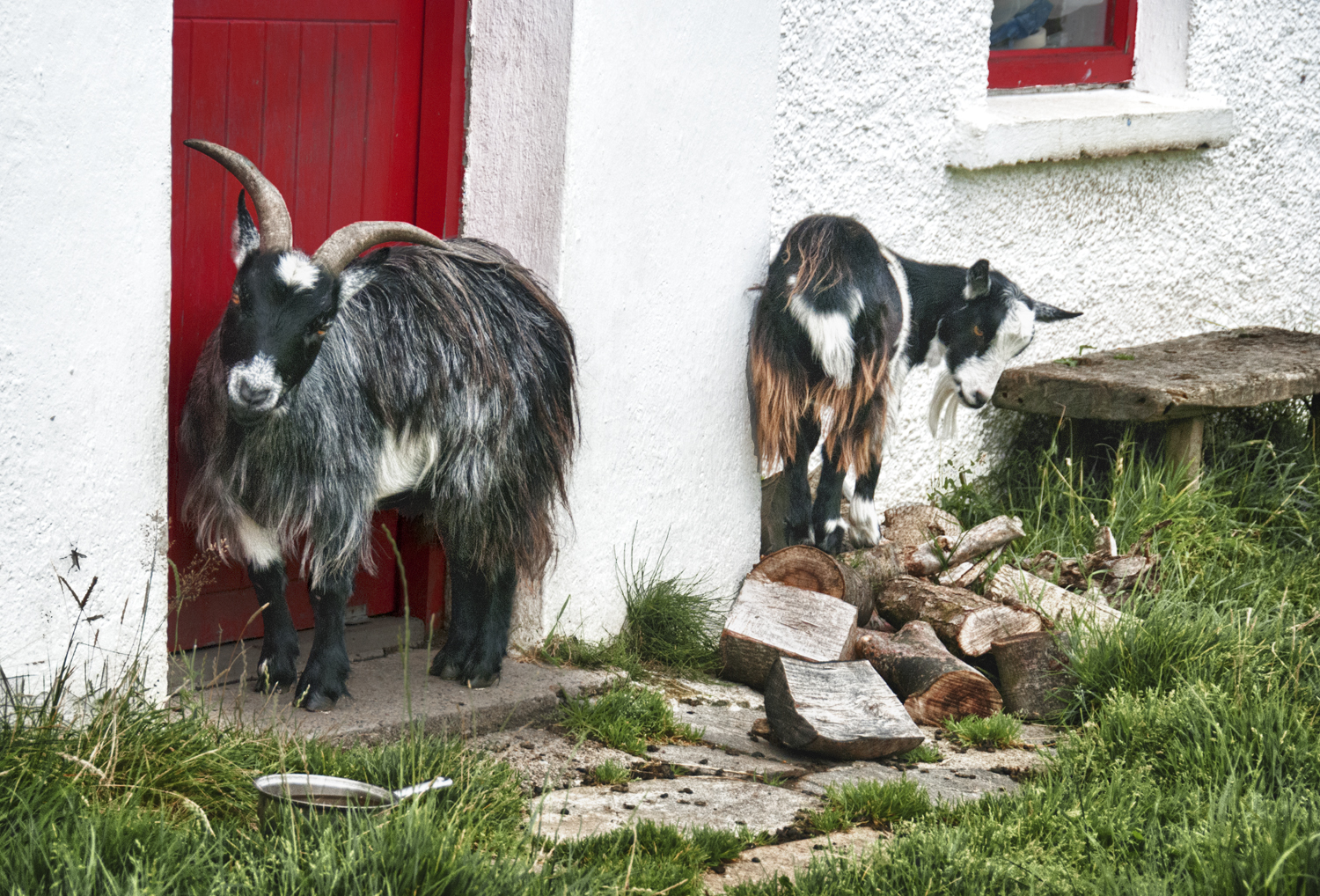 Goats and Red Door, Slieve League