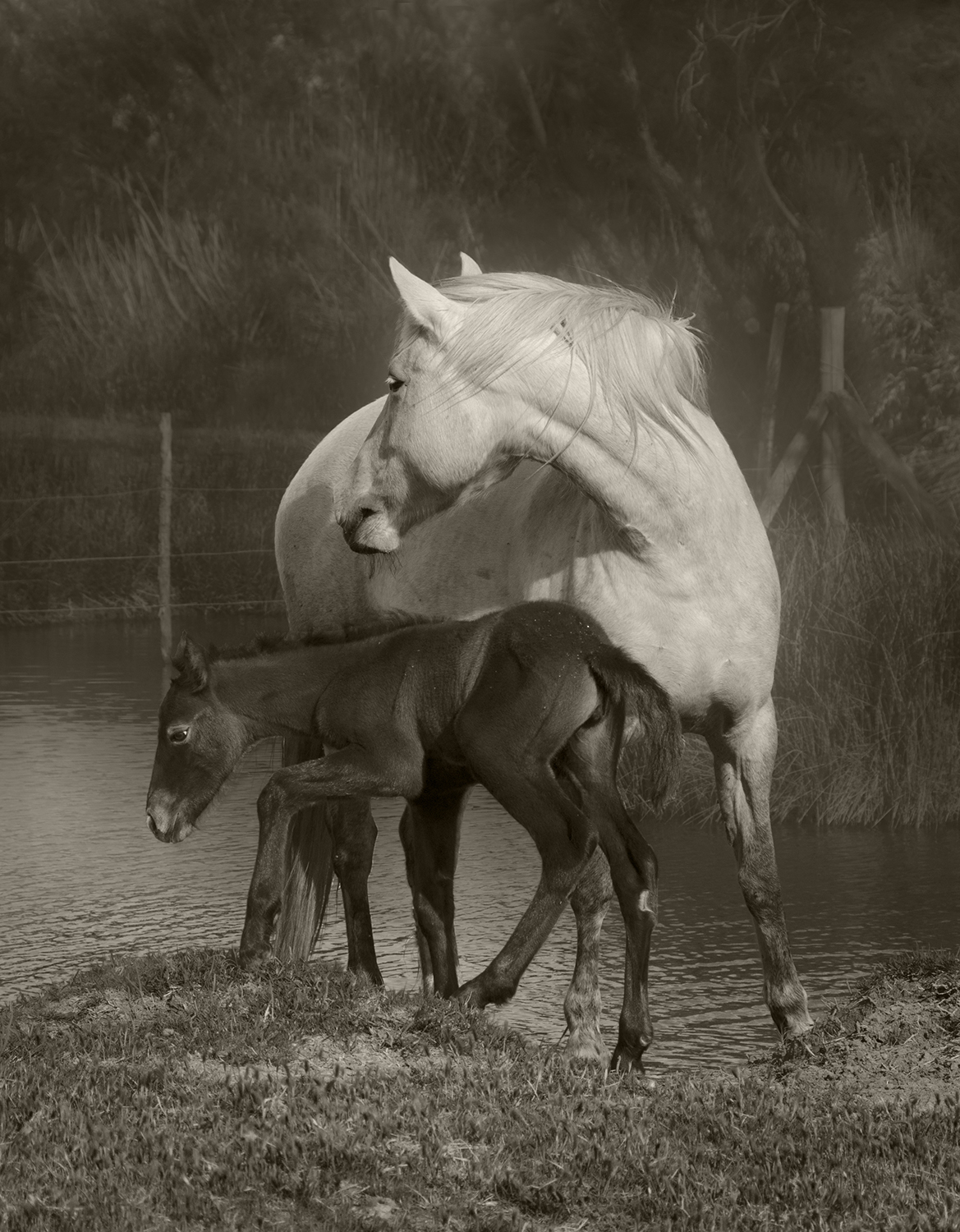 One-Week-Old