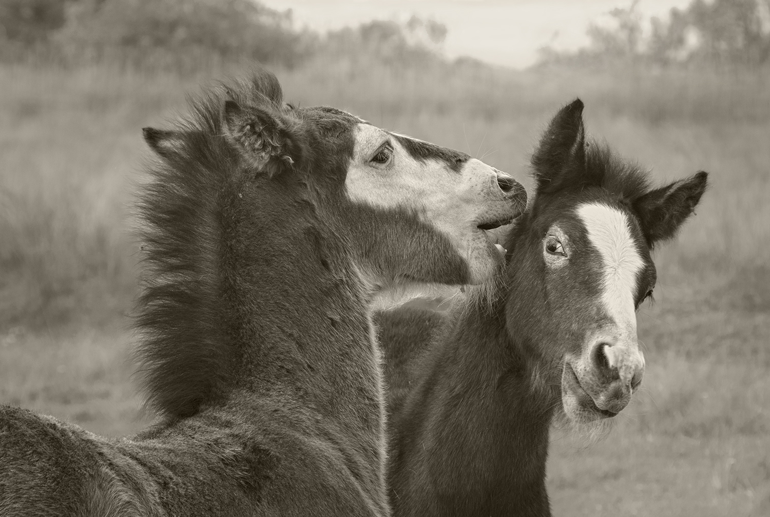 Telling Secrets