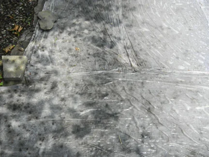 Nice Marks.