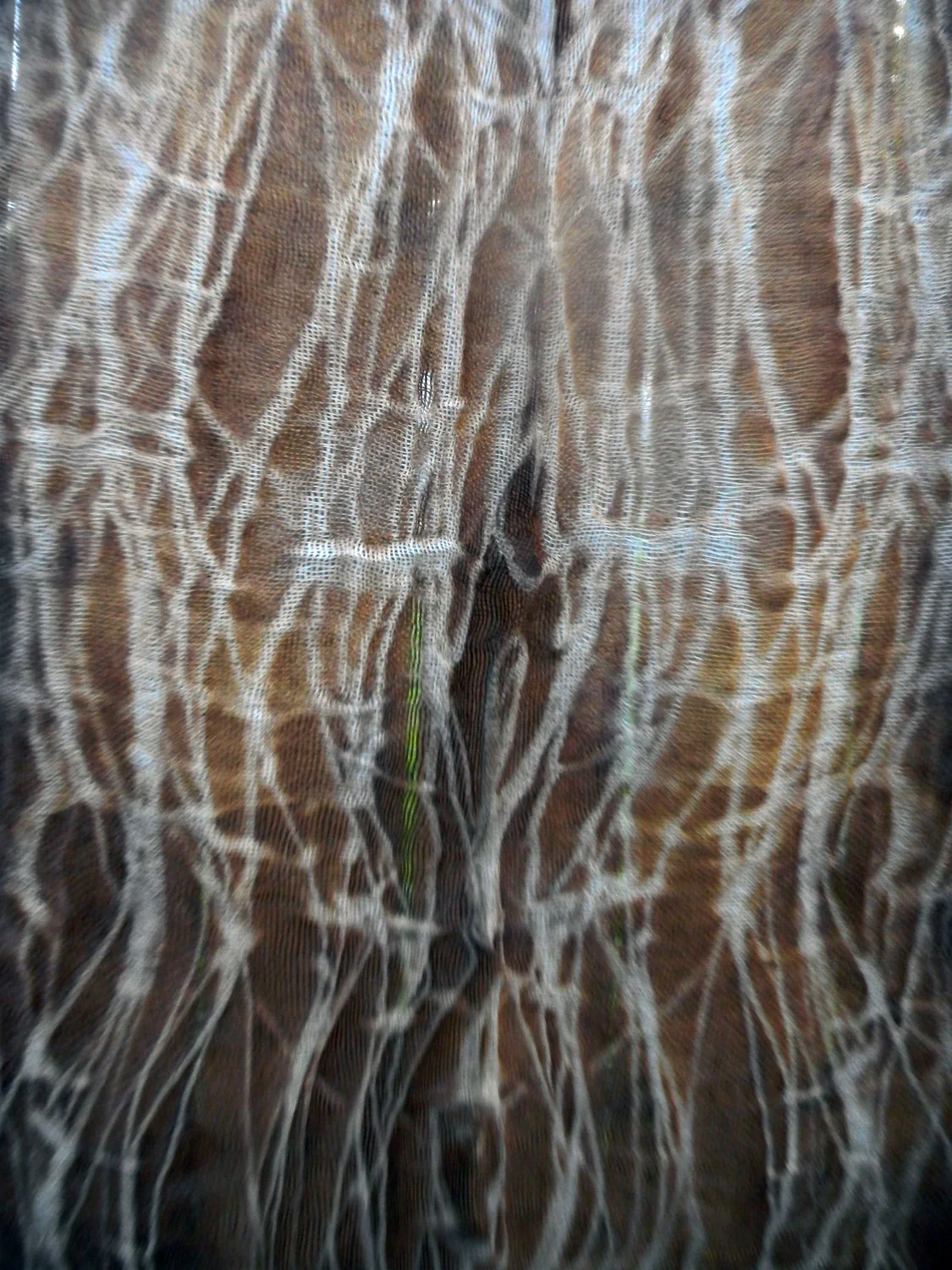 string_walnut.jpg
