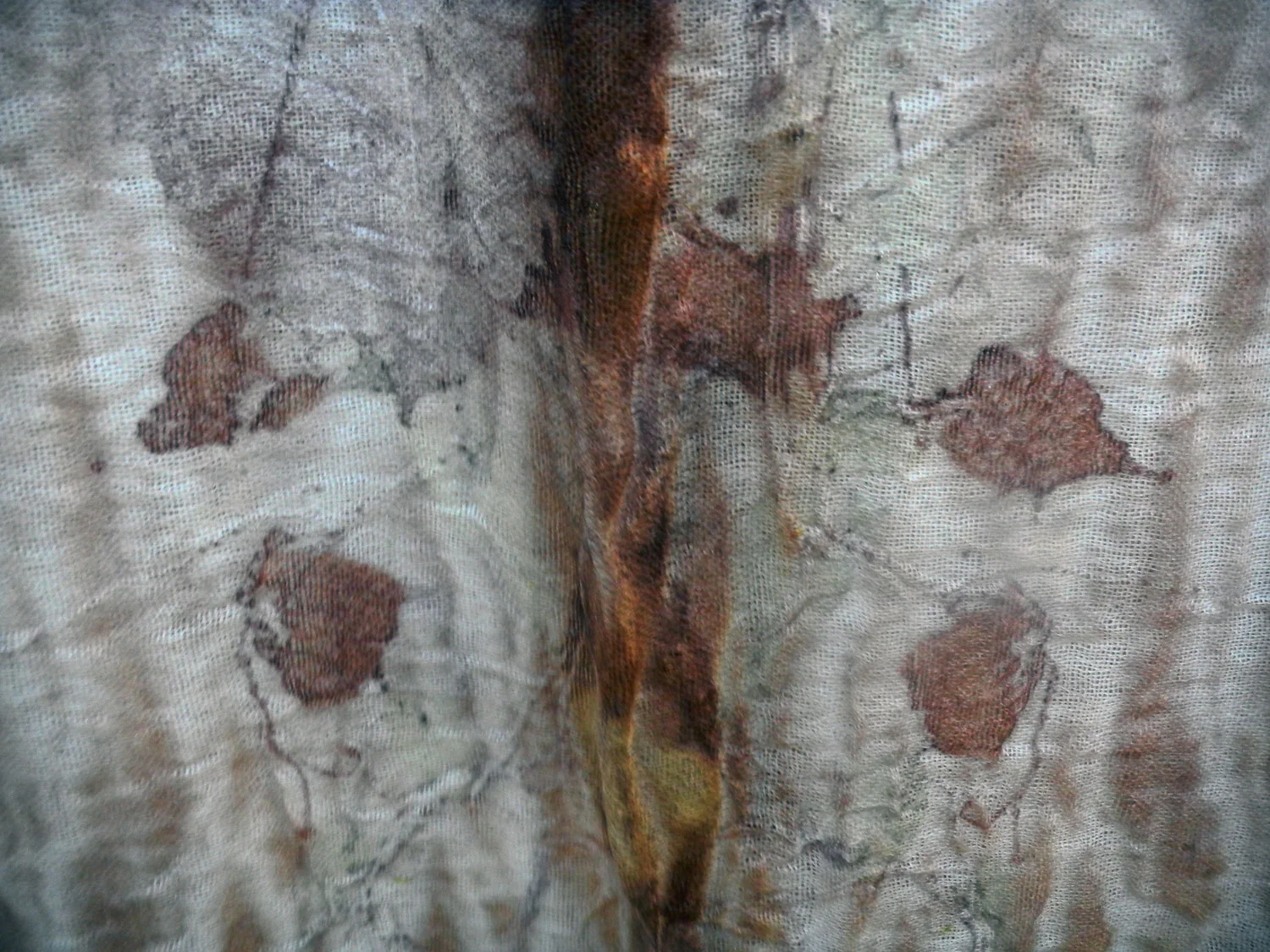 vine_walnut_large.jpg