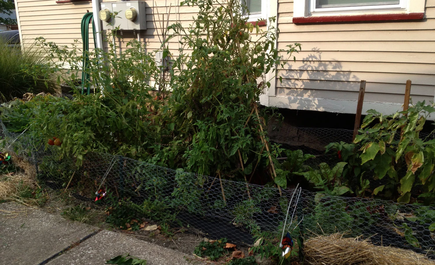 garden_full.jpg