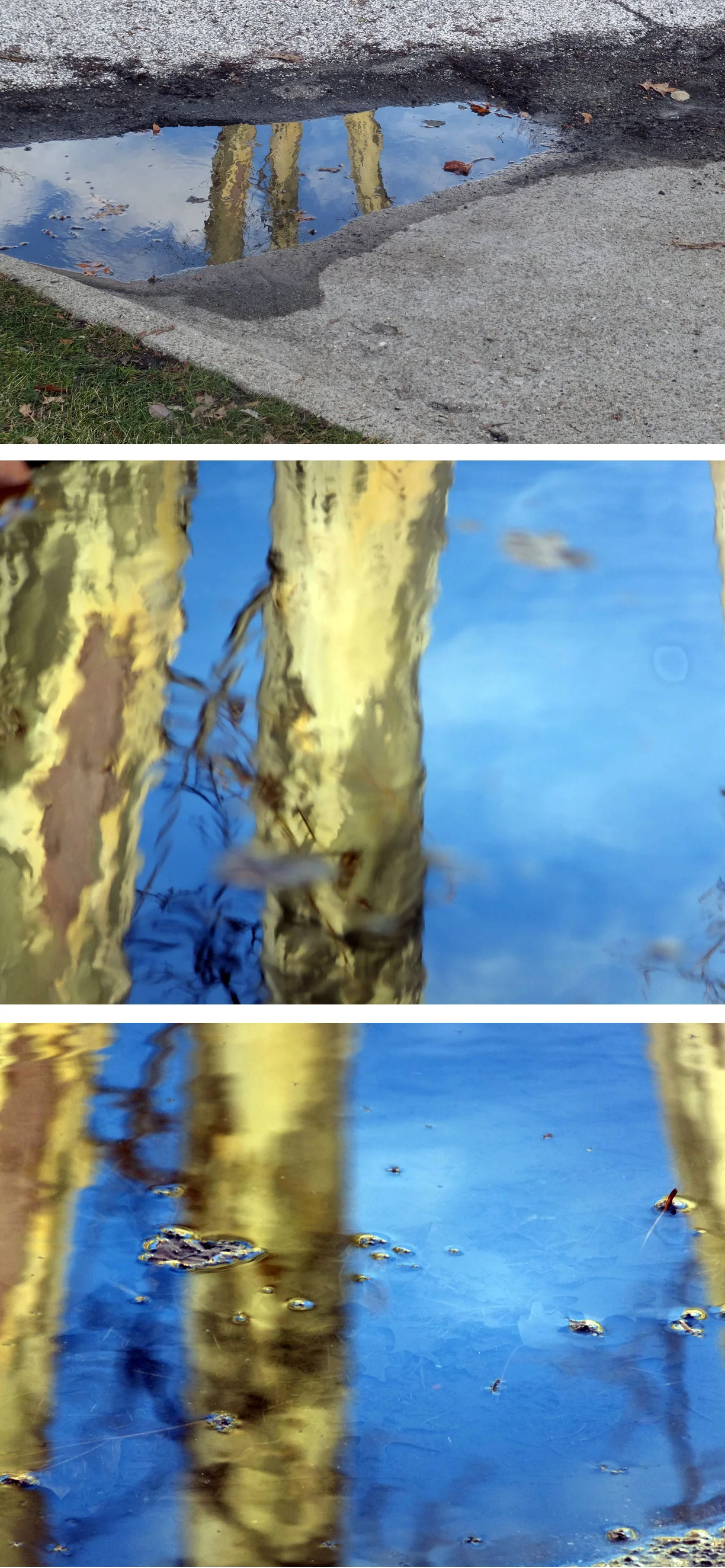 Finding trees in water