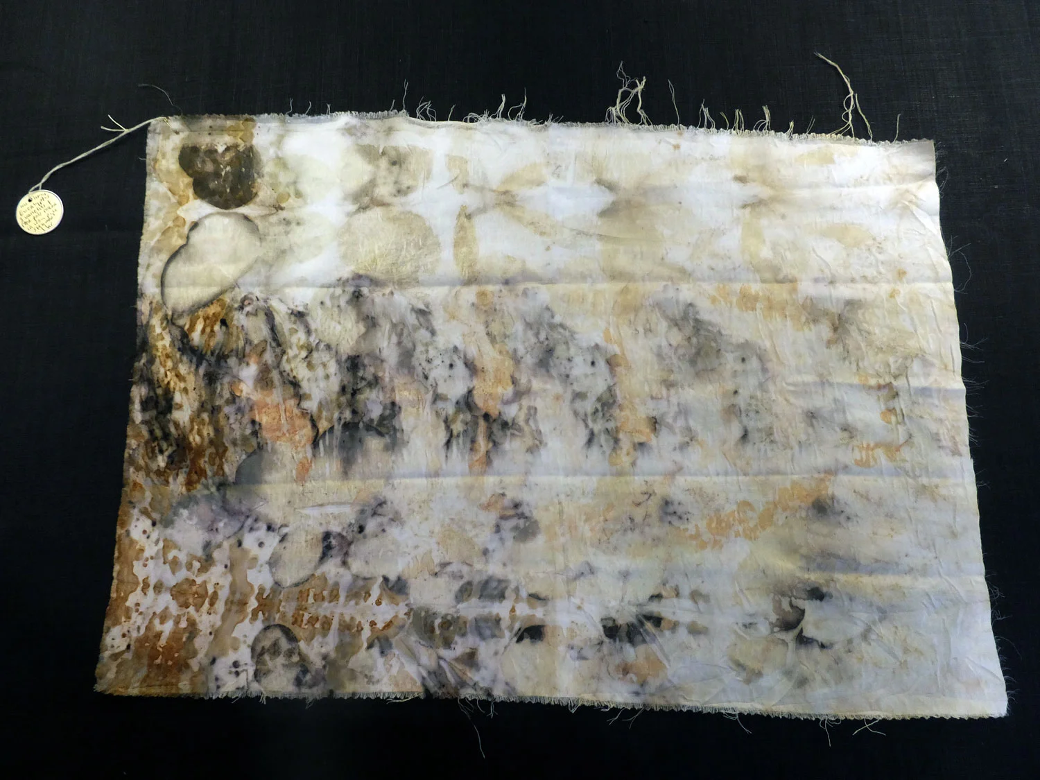 SILK SIDE, Woolsy-Silky. Eco print with 3 varieties of eucalyptus, rose leaves (that had been soaking in a magic solution), and seed pods. Ruth rolled it around a rusty pipe.