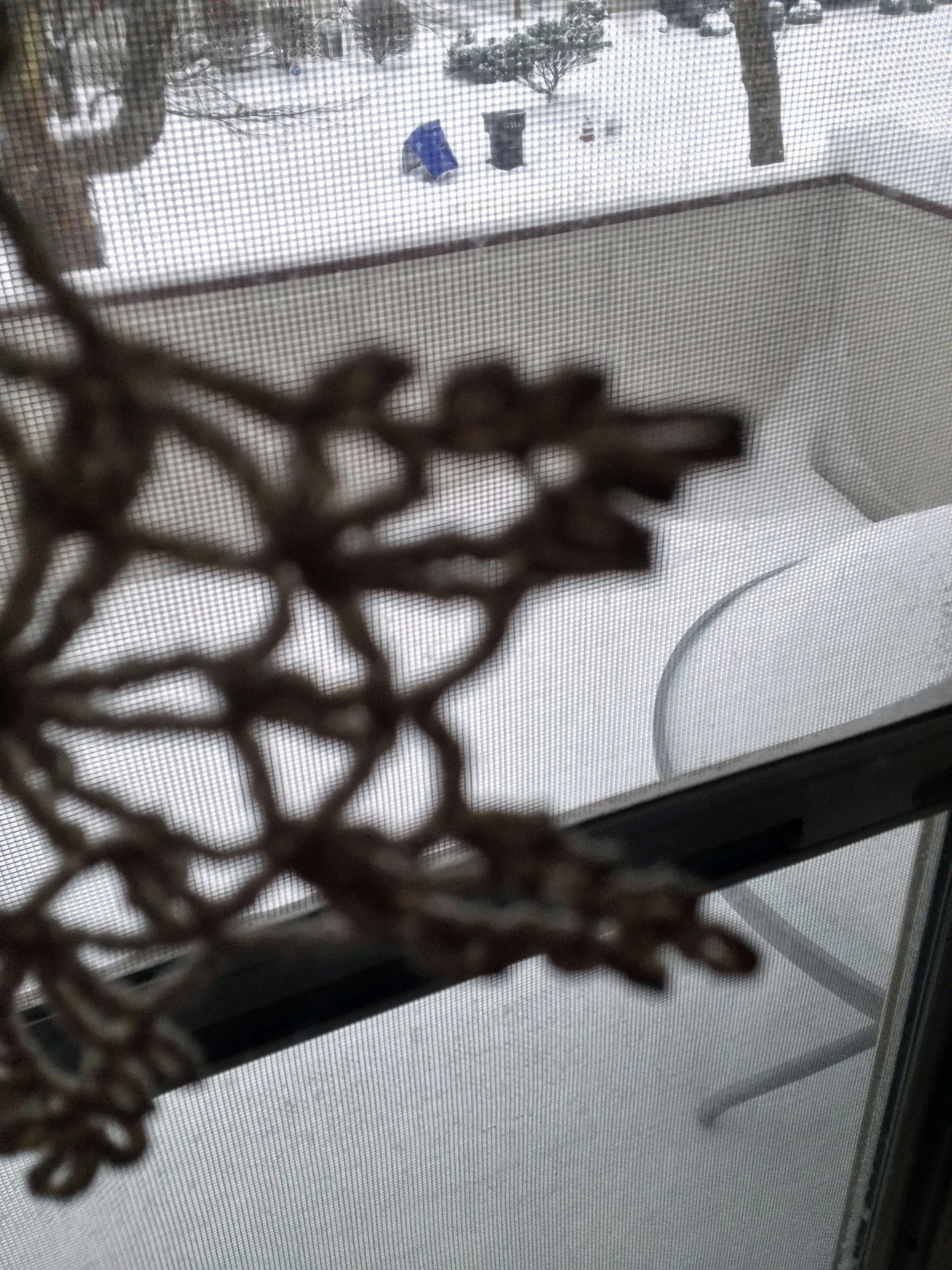 Out my front upstairs window.