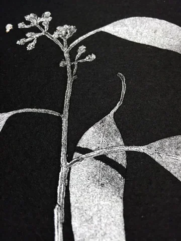 Detail, Monoprint, silver ink on black somerset paper.