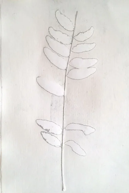 Monoprint, silver ink, white paper, 2014, Christine Mauersberger, 8" x 5"