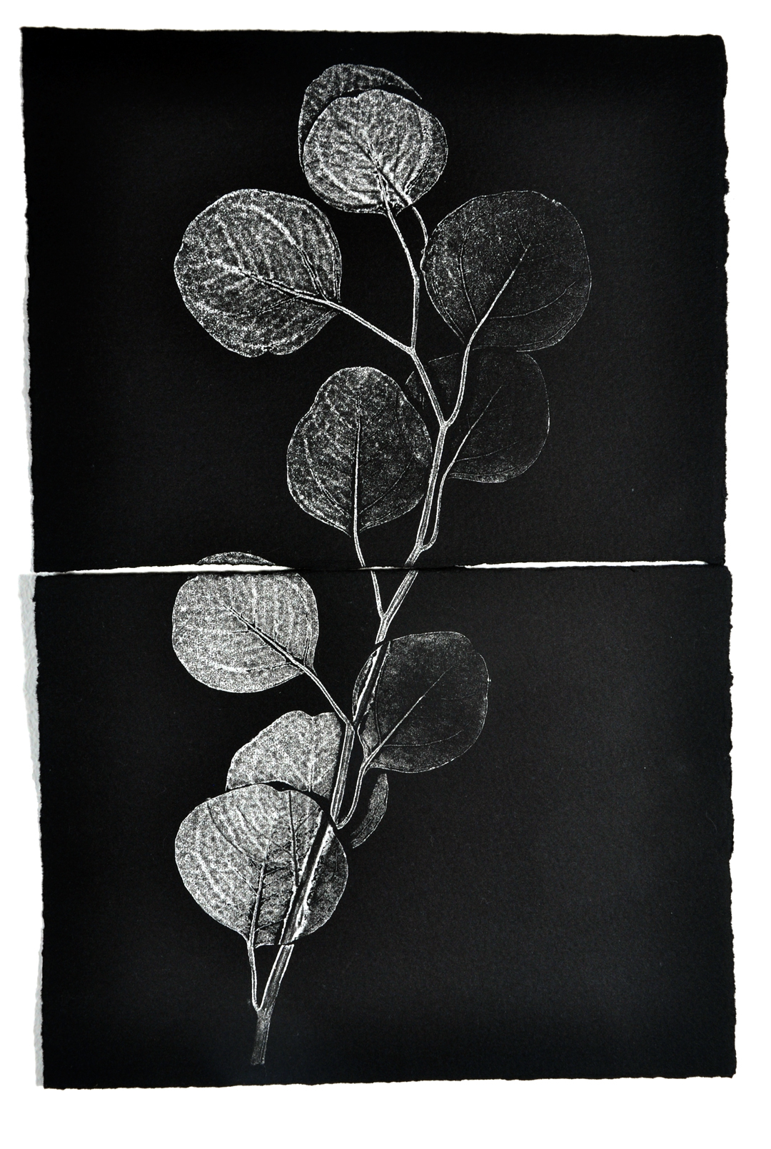 Monoprint on 2 pieces of paper, silver ink, 2014, Christine Mauersberger.