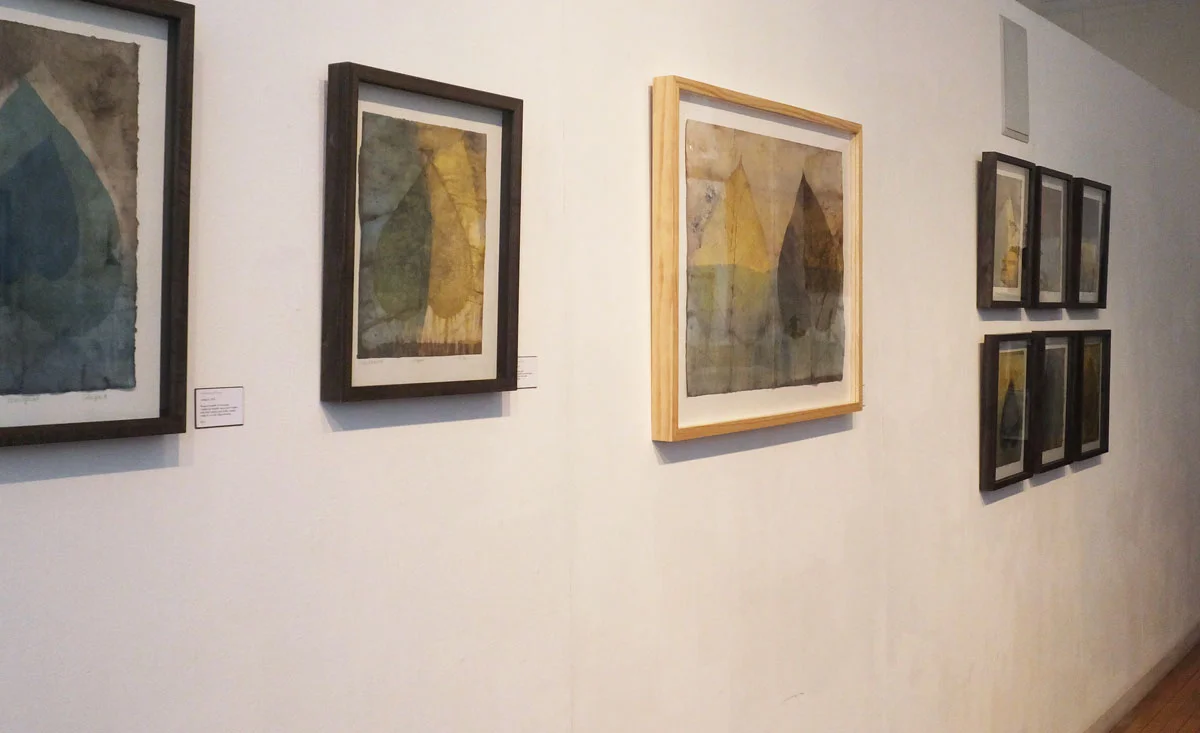 Some of the framed Botanical Transfer Prints.