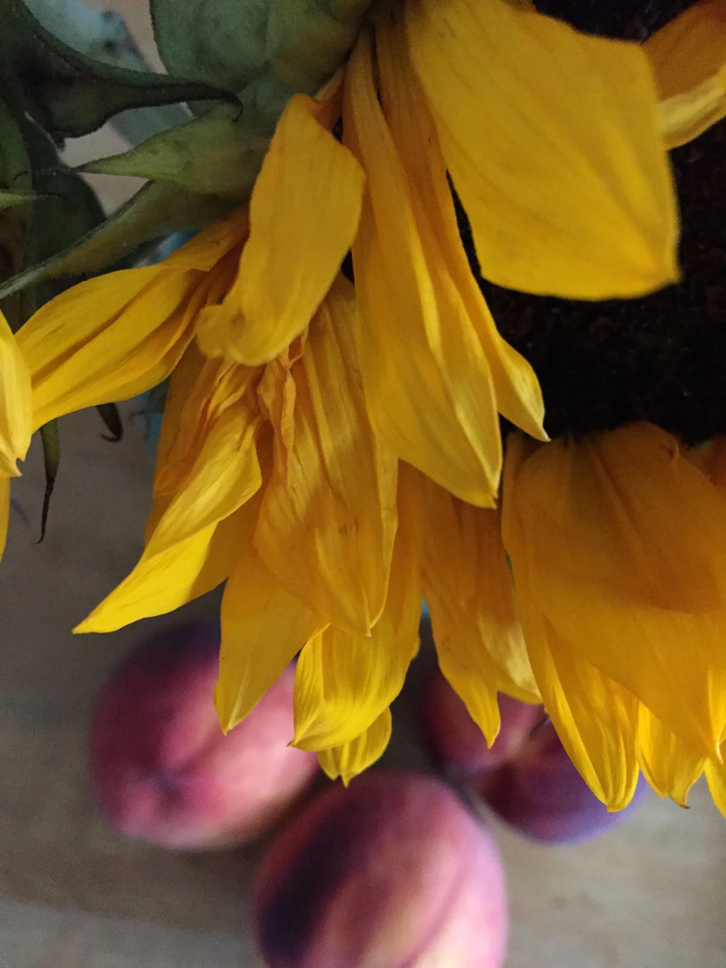 Sunflowers and peaches.
