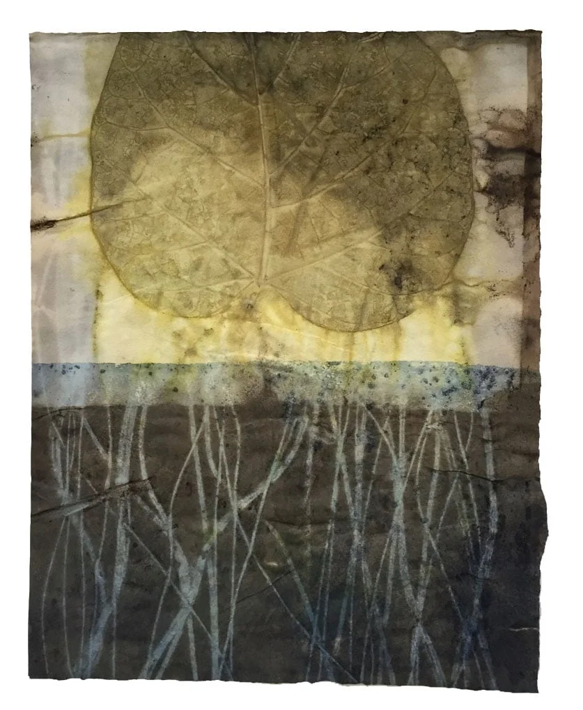 Catalpa.3