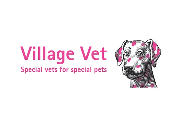 Dr Maud van de Stadt&nbsp; MRCVS - Head Veterinary Surgeon Village Vet Brookmans Park