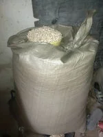 A Bag of Maize (Corn)