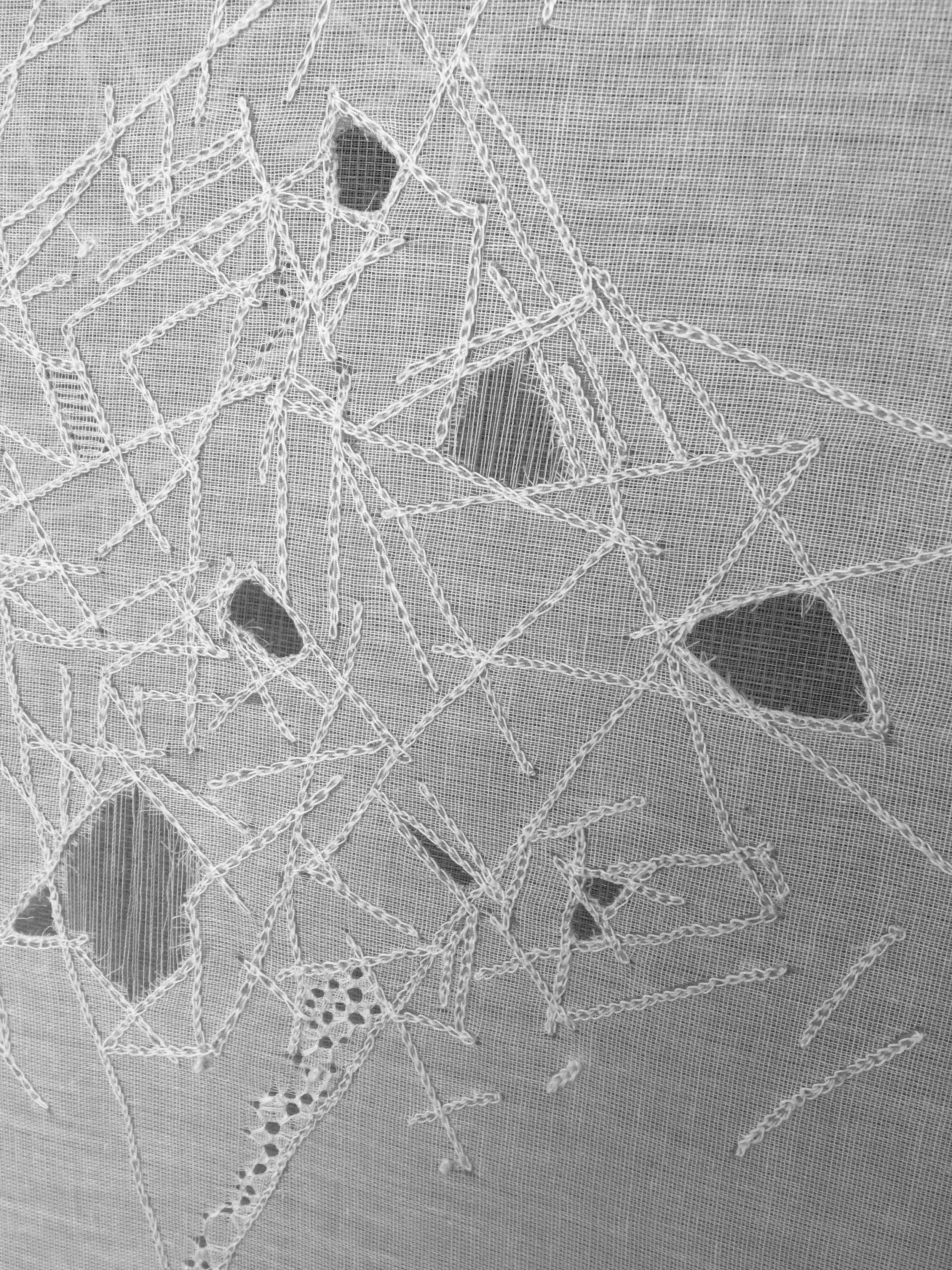 Divergent Resemblance (2017) detail.