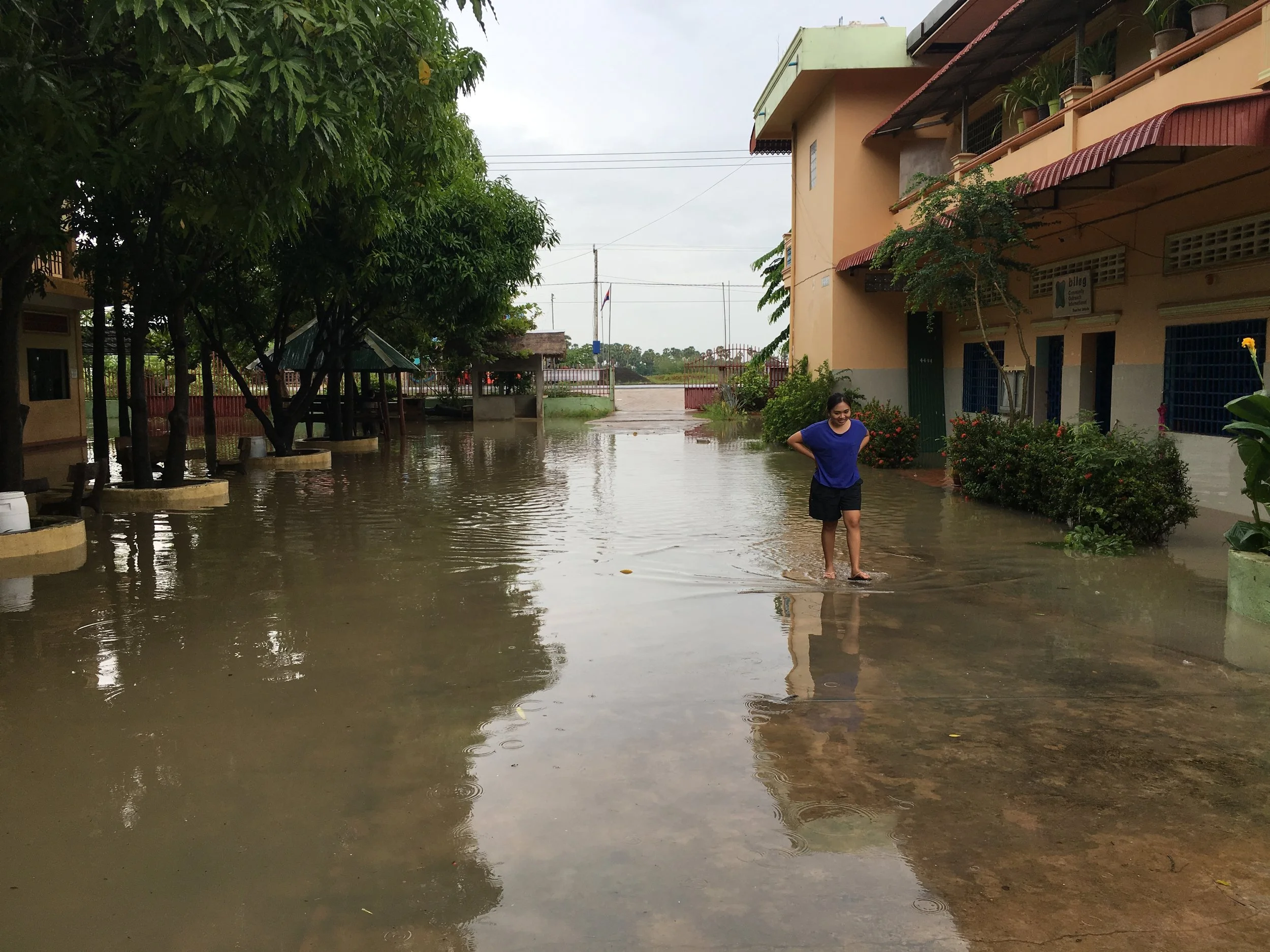 Cambodian weather, pigs and patient