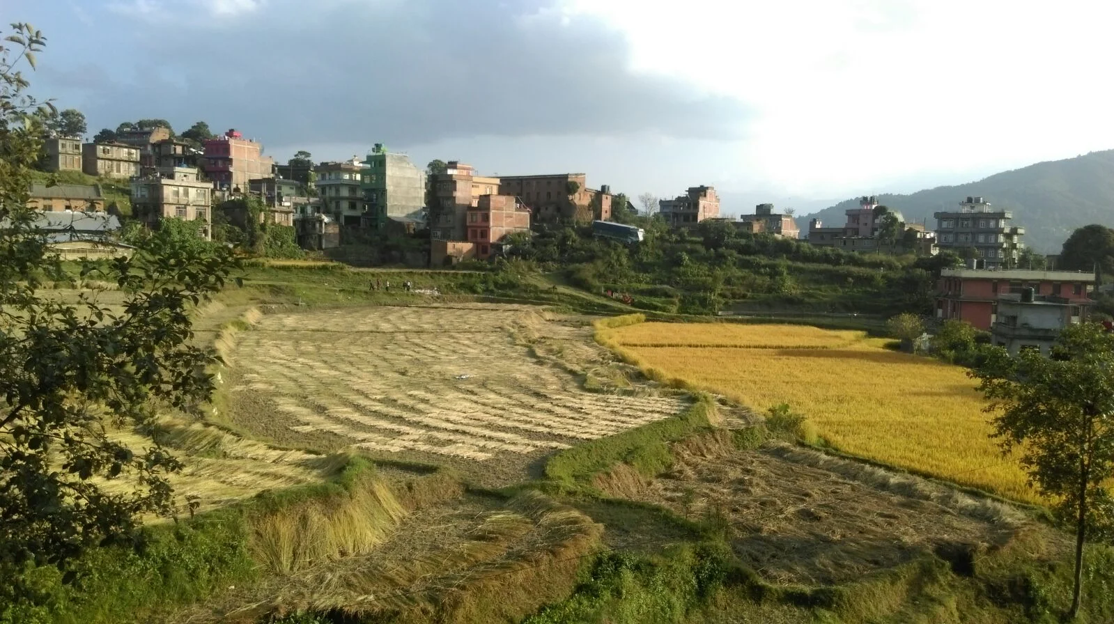 Nepal 2016 Nov | Day 1 | BLi x OMMA