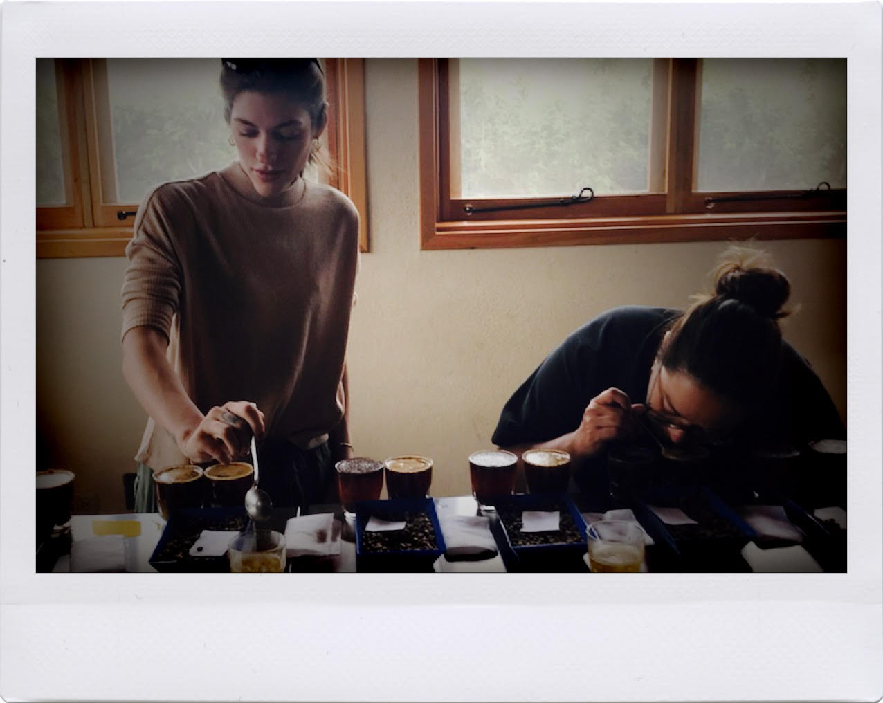 Ellie-Eckert-Written-Coffee-Chapter-One-Cupping.jpg