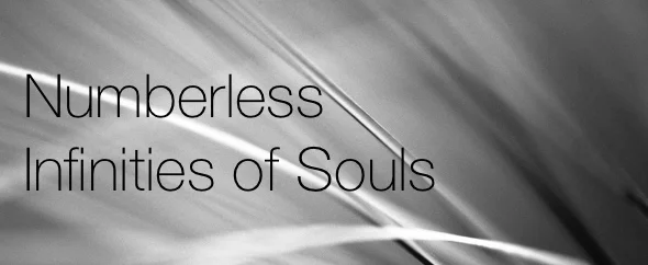 Numberless Infinities of Souls Banner.jpg