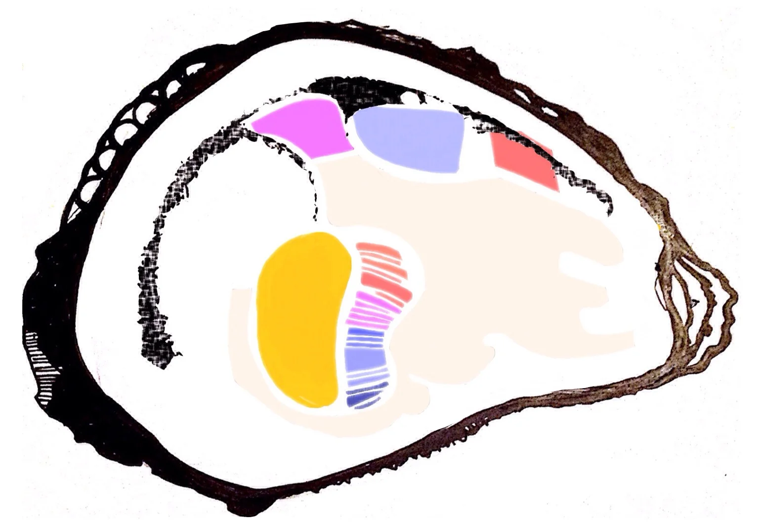 photo.PNG-3.jpeg