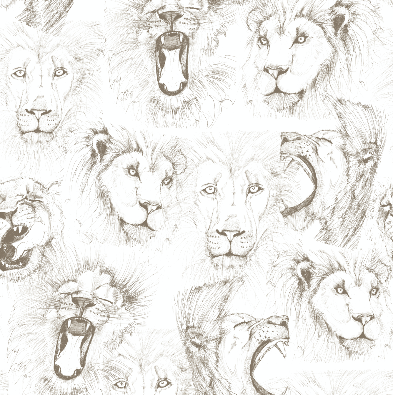 Screen Shot 2021-02-11 at 6.31.04 PM.png