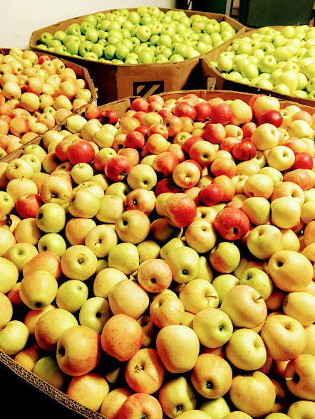Multiple varieites of apples in their bins