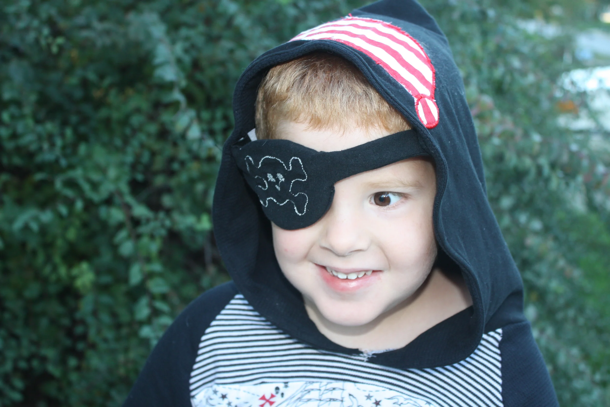 Argh!!!! I can wear this hoodie on Halloween, or to the grocery store with mom anytime.