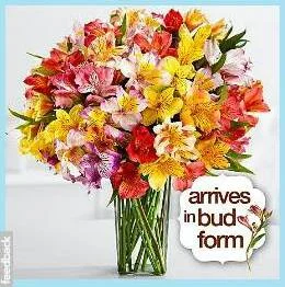 Flowers from Larissa