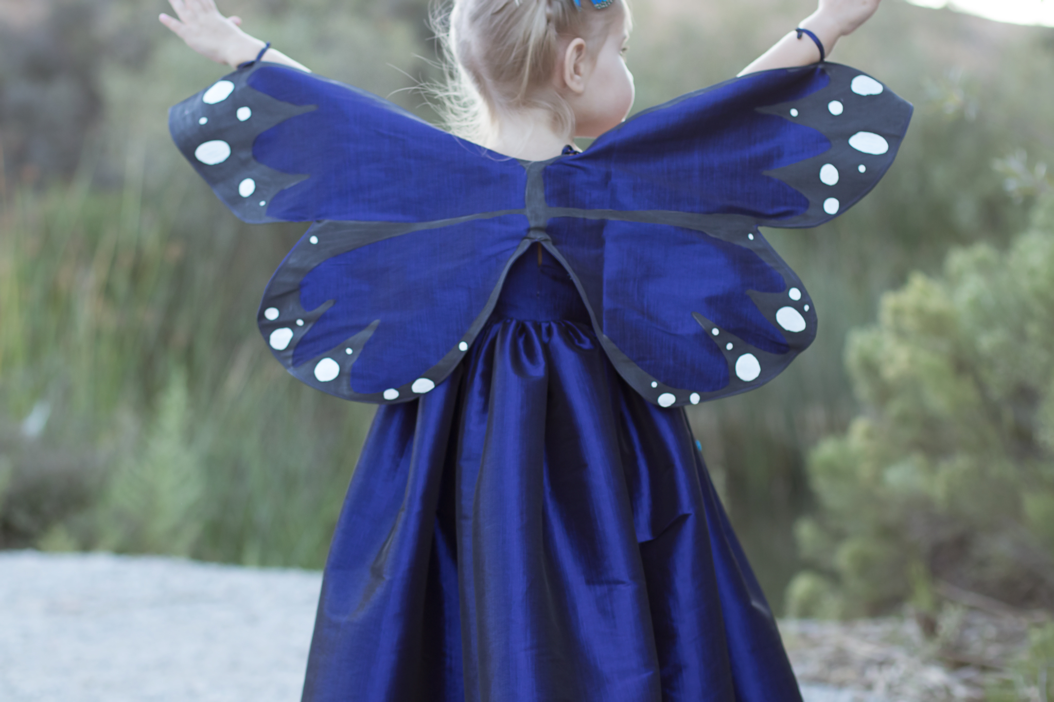 butterfly-wings.jpg