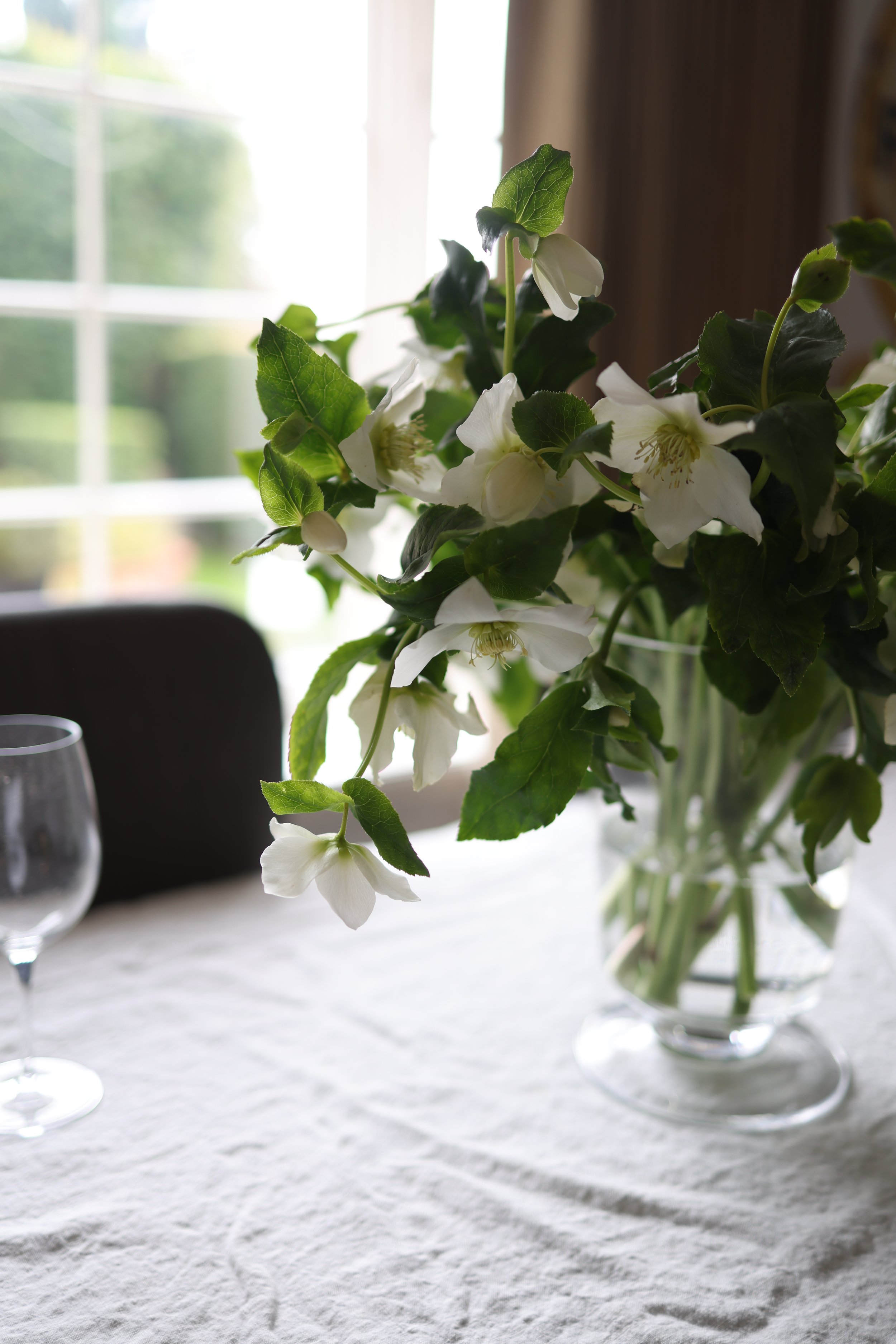 A Frest Start | Rituals for the New Year 