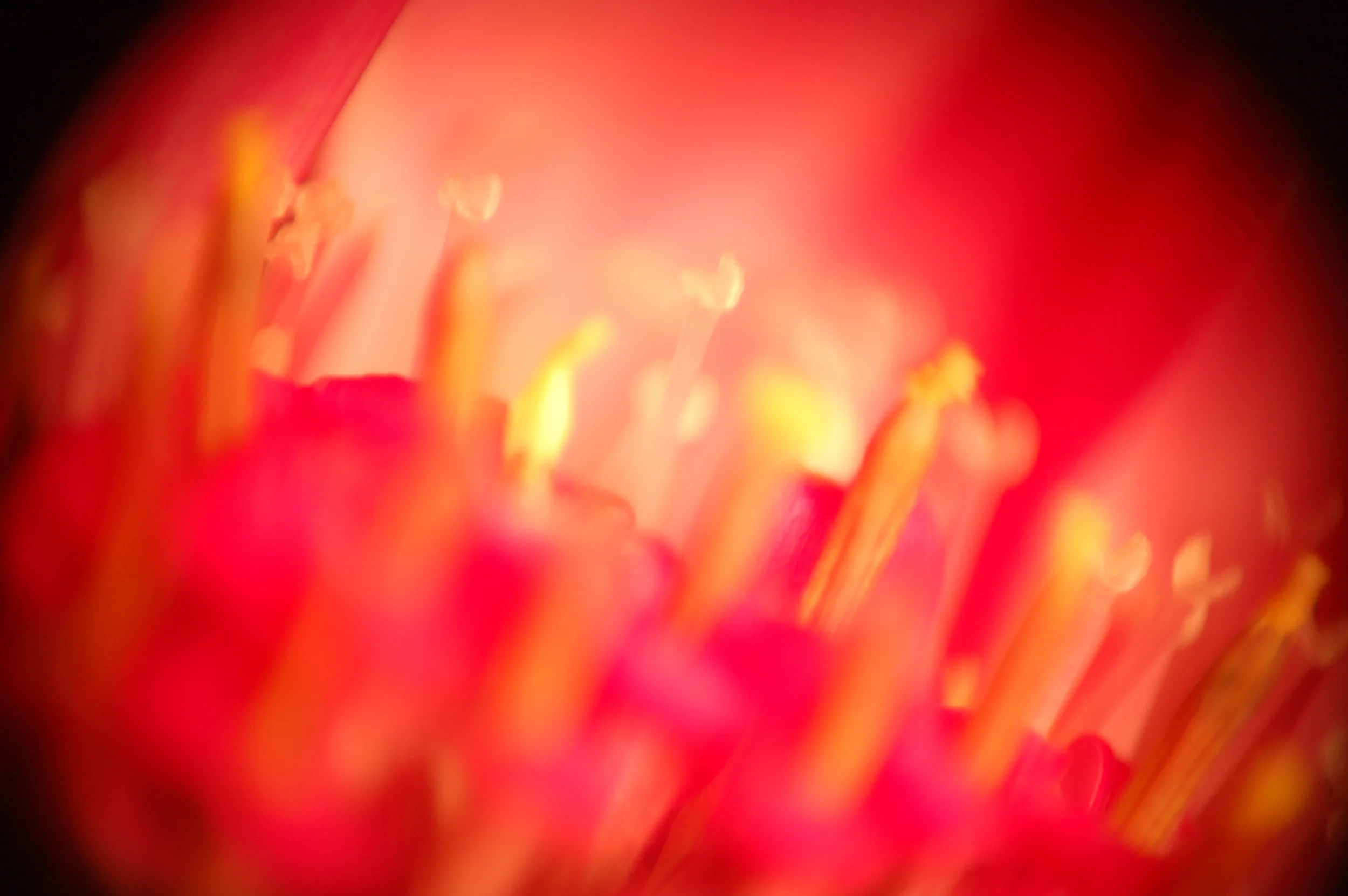 love_1180.JPG