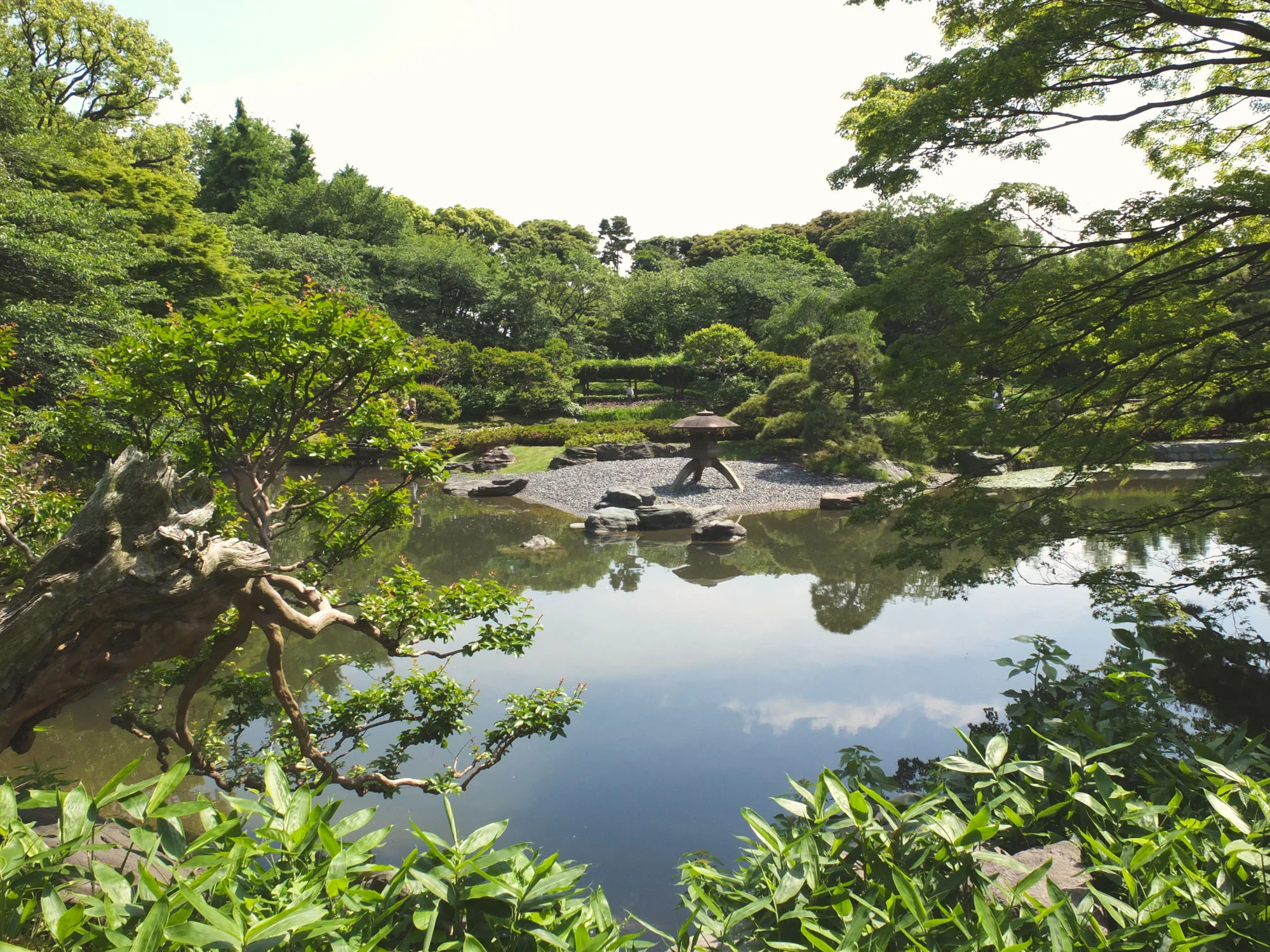 A peaceful garden nestled in the heart of Tokyo.