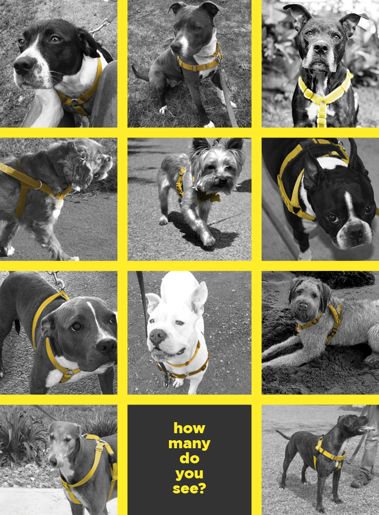 HumaneHarness_Poster.png