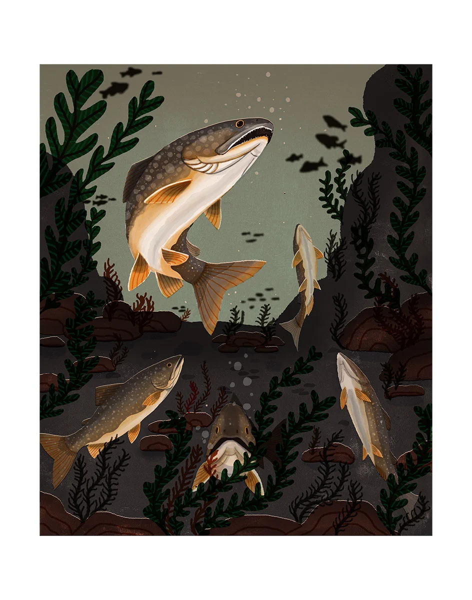 laketrout.jpg