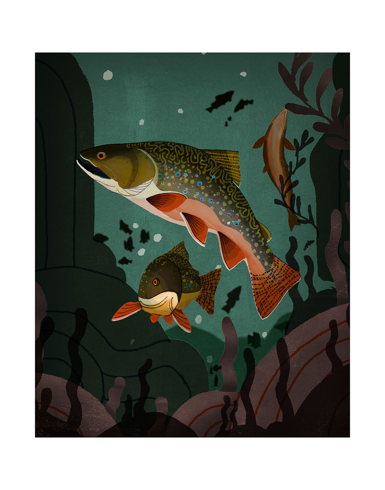 brooktrout.jpg