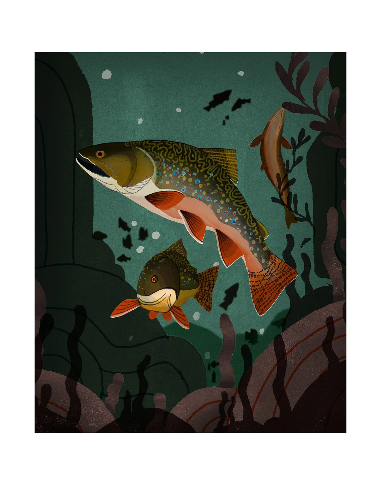 brooktrout.jpg