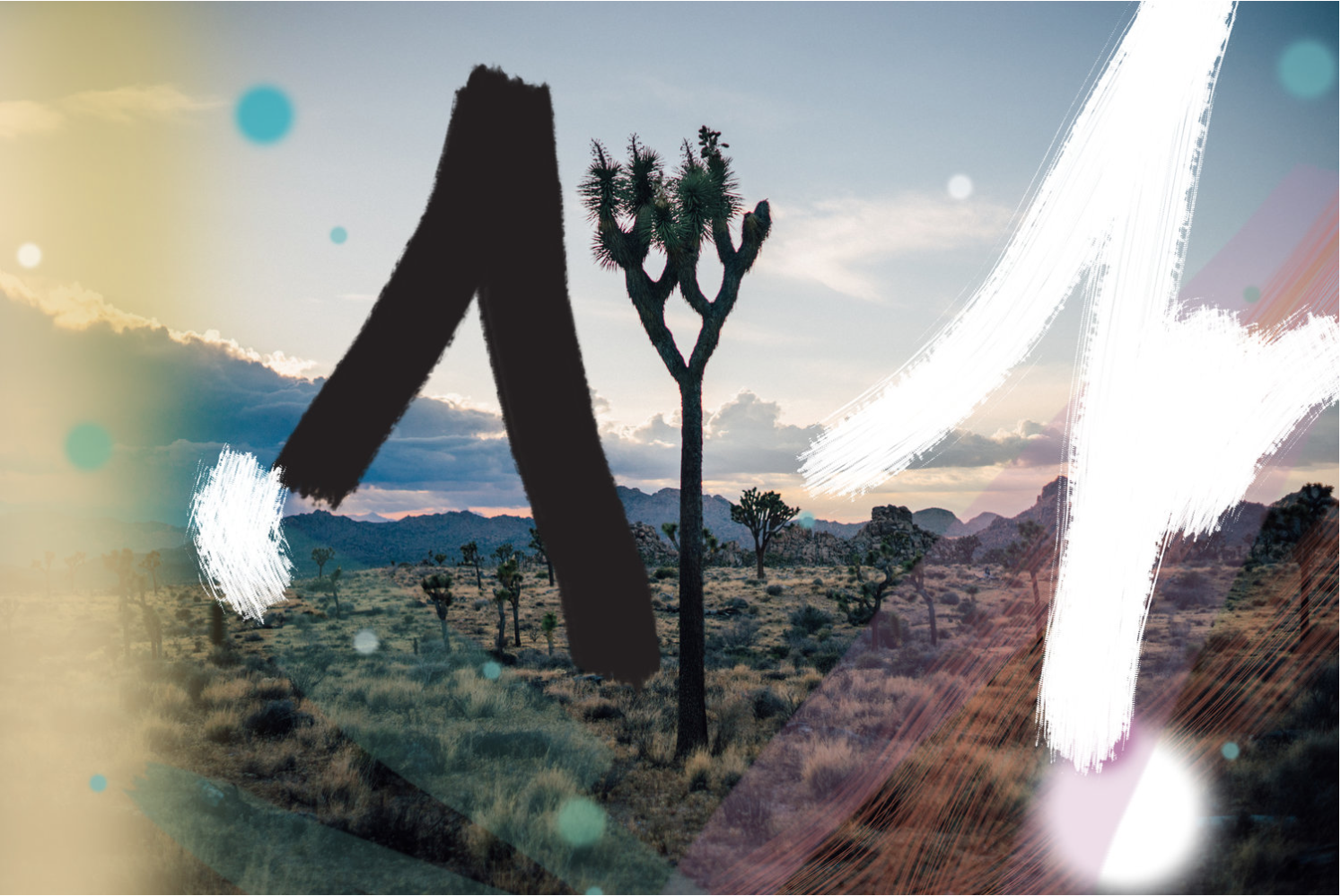 paint_in_joshua_tree_joel_bear.jpg