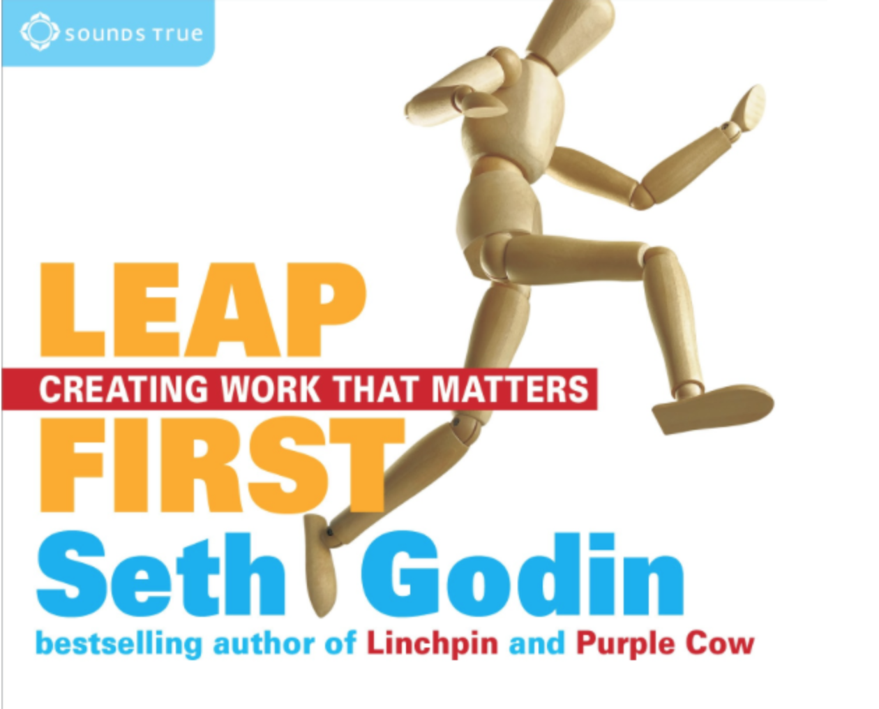 Leap_first_Seth_godin.jpg