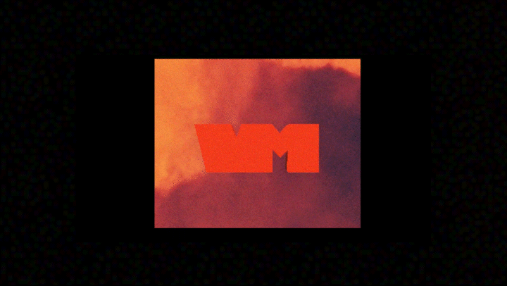VM Logo_5.gif