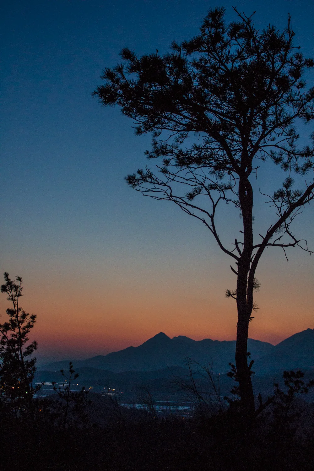 From the top of the mountain inside Daenamugol during the blue hour. The lights of Damyang peek through the mists.