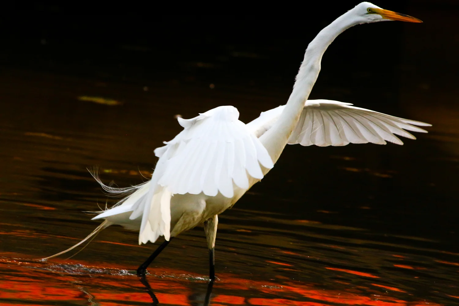 Landing