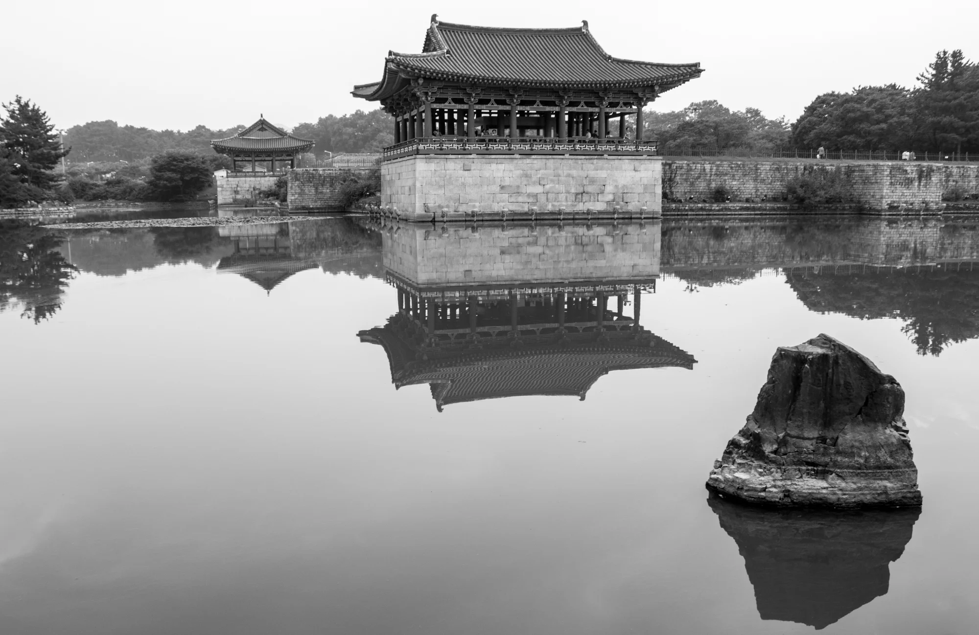 A view of the pond before the visitors arrive.