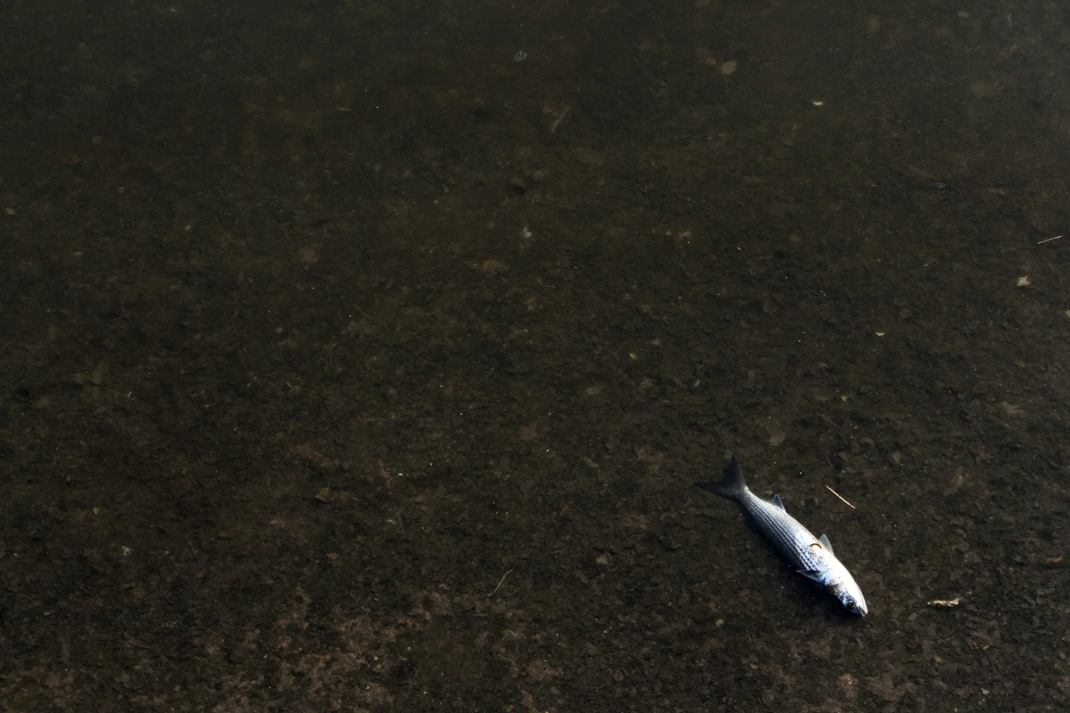 Washed Up